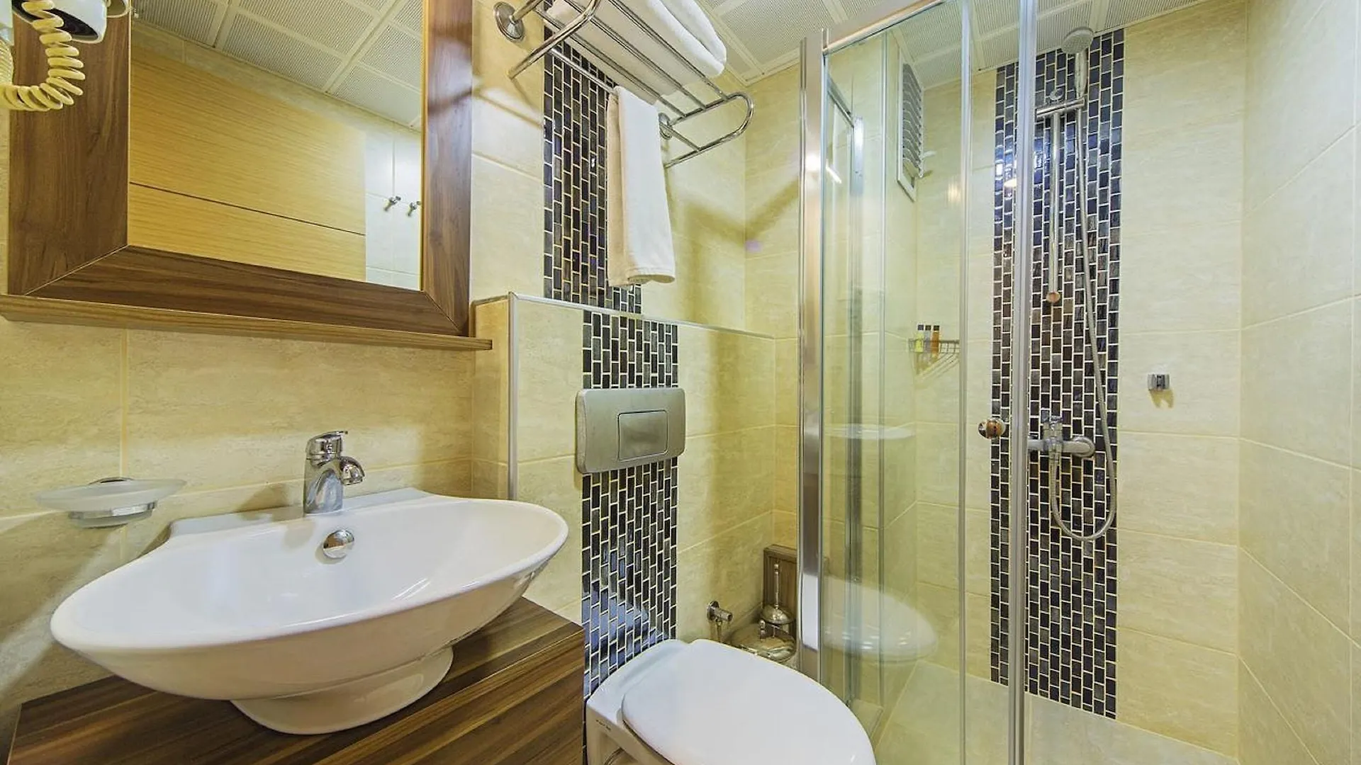 Pera Arya Hotel Istanboel