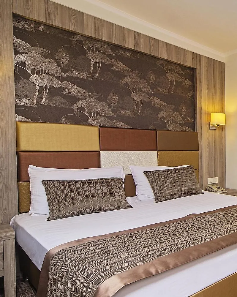 Pera Arya Hotel Istanboel